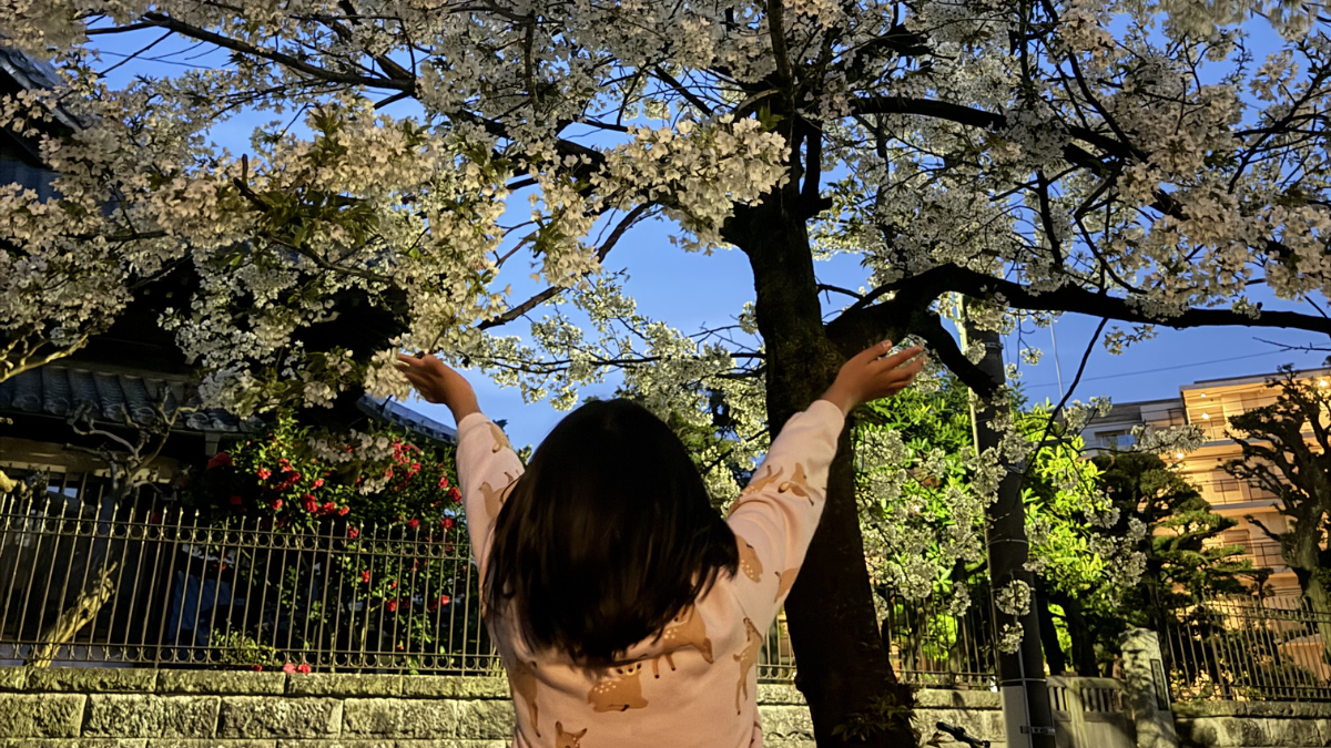 夜桜の前でポーズをとる子供